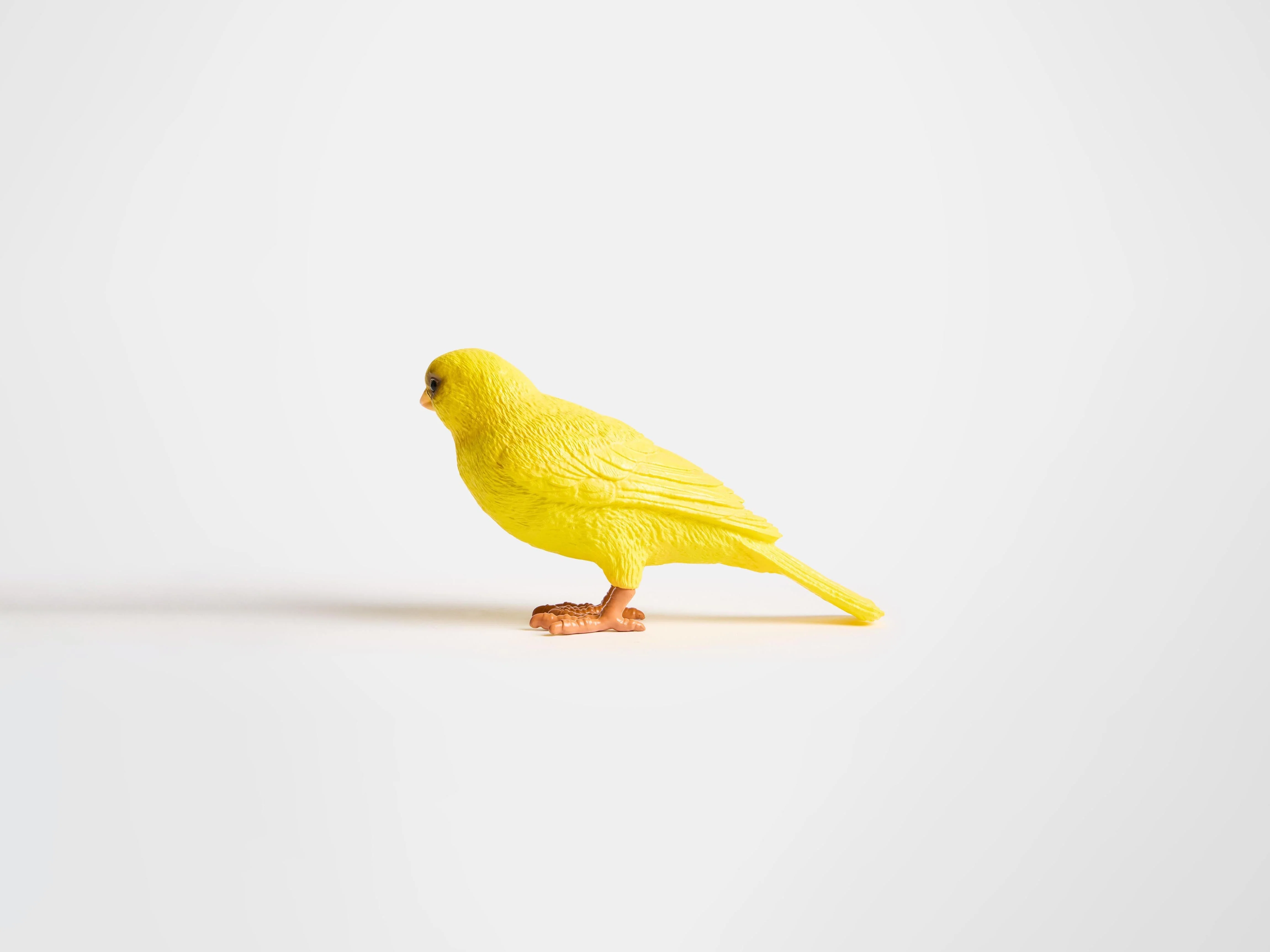 CANARY CLUTCH IN YELLOW - Image 5