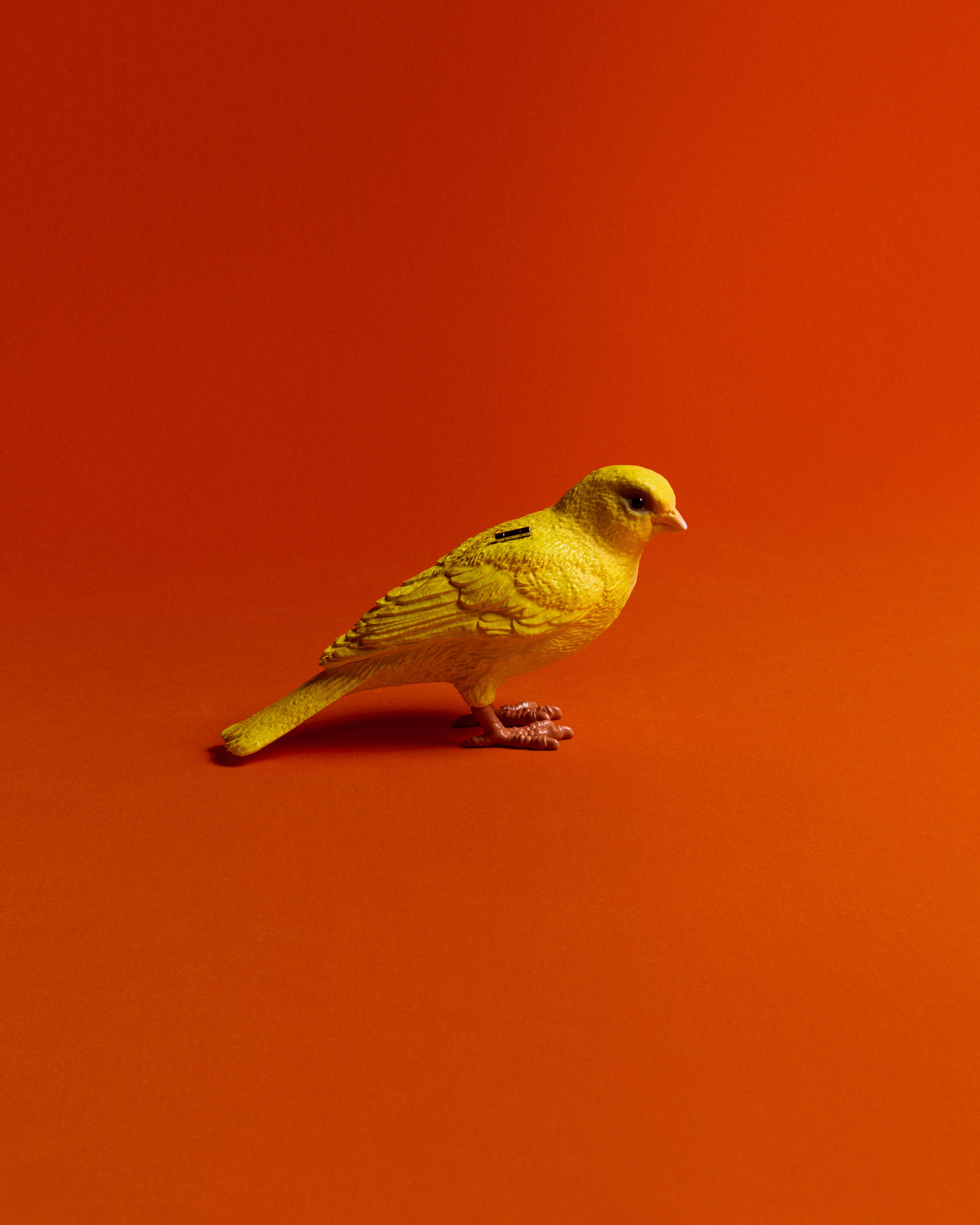 CANARY CLUTCH IN YELLOW - Image 6