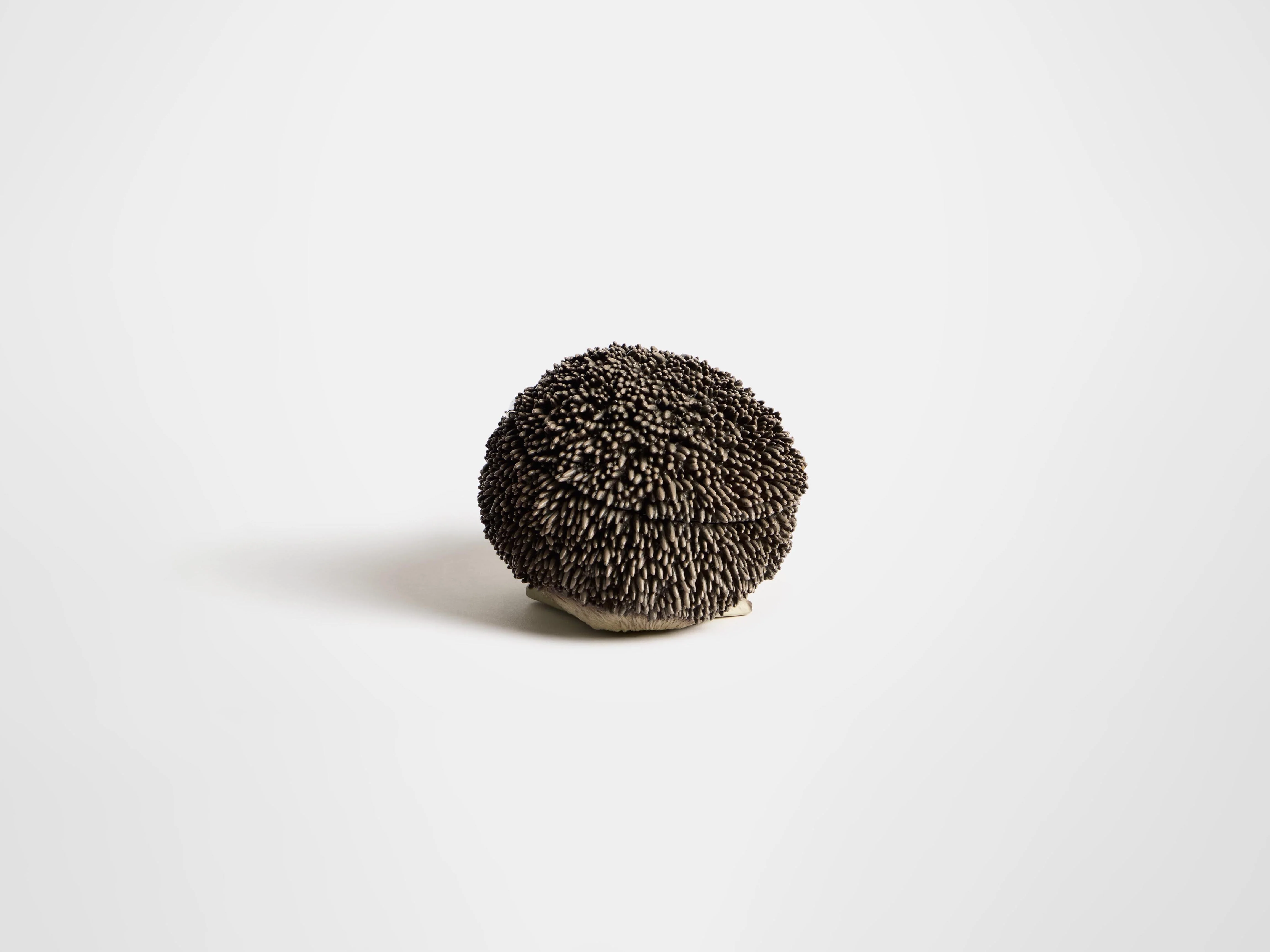 HEDGEHOG CLUTCH IN BROWN - Image 6