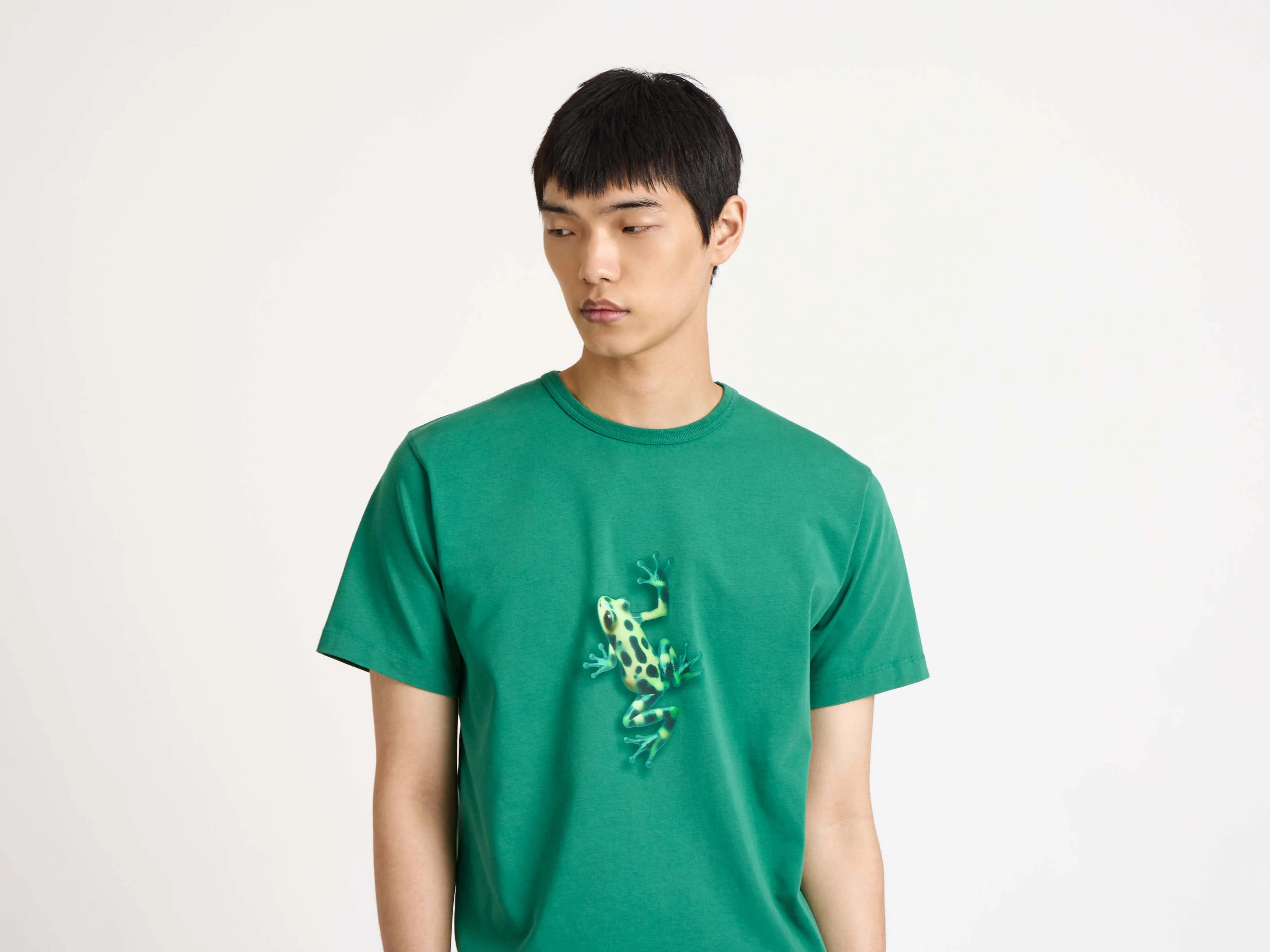 MENS JUMPING FROG T-SHIRT IN EMERALD - Image 3