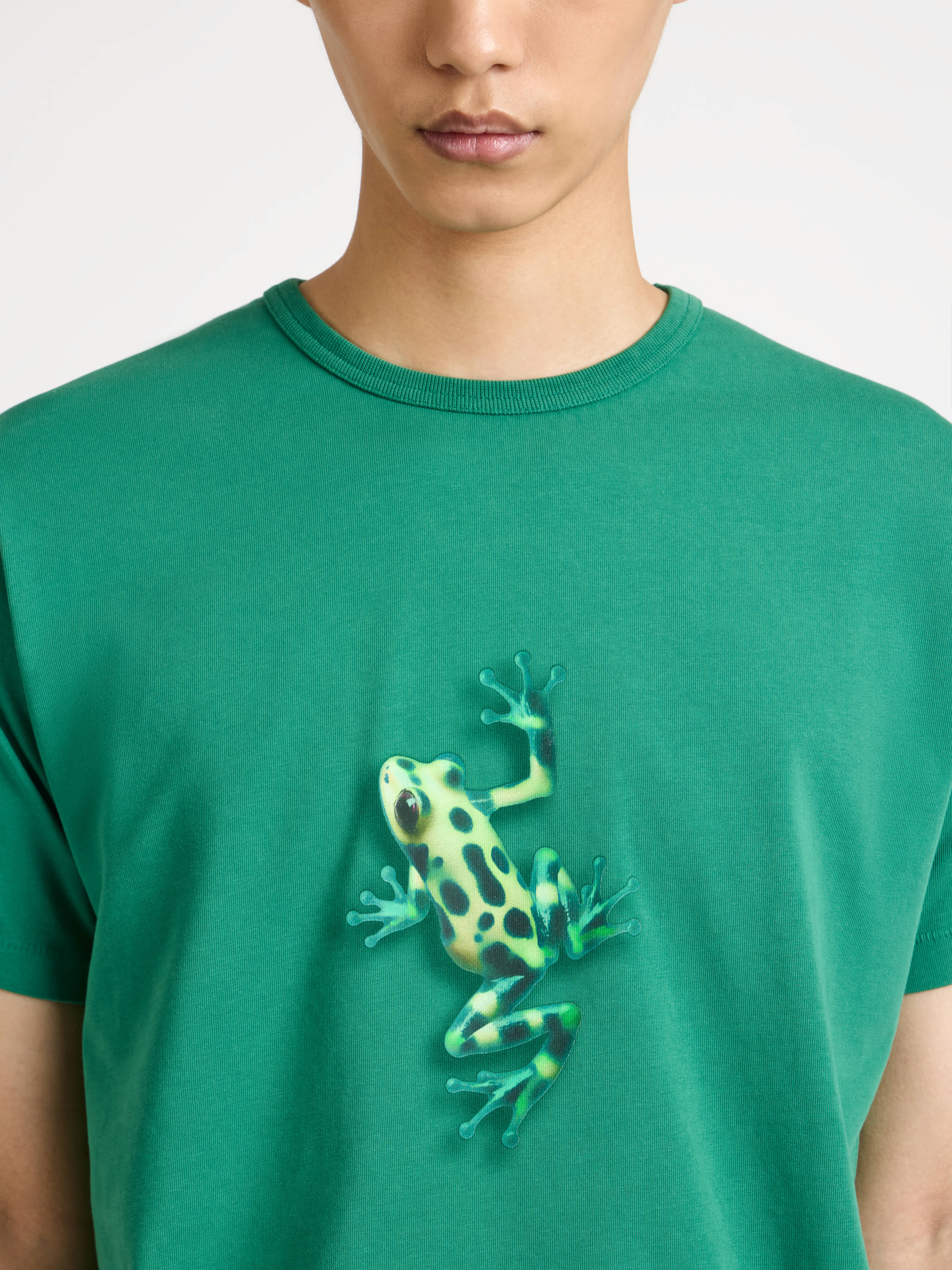 MENS JUMPING FROG T-SHIRT IN EMERALD - Image 4