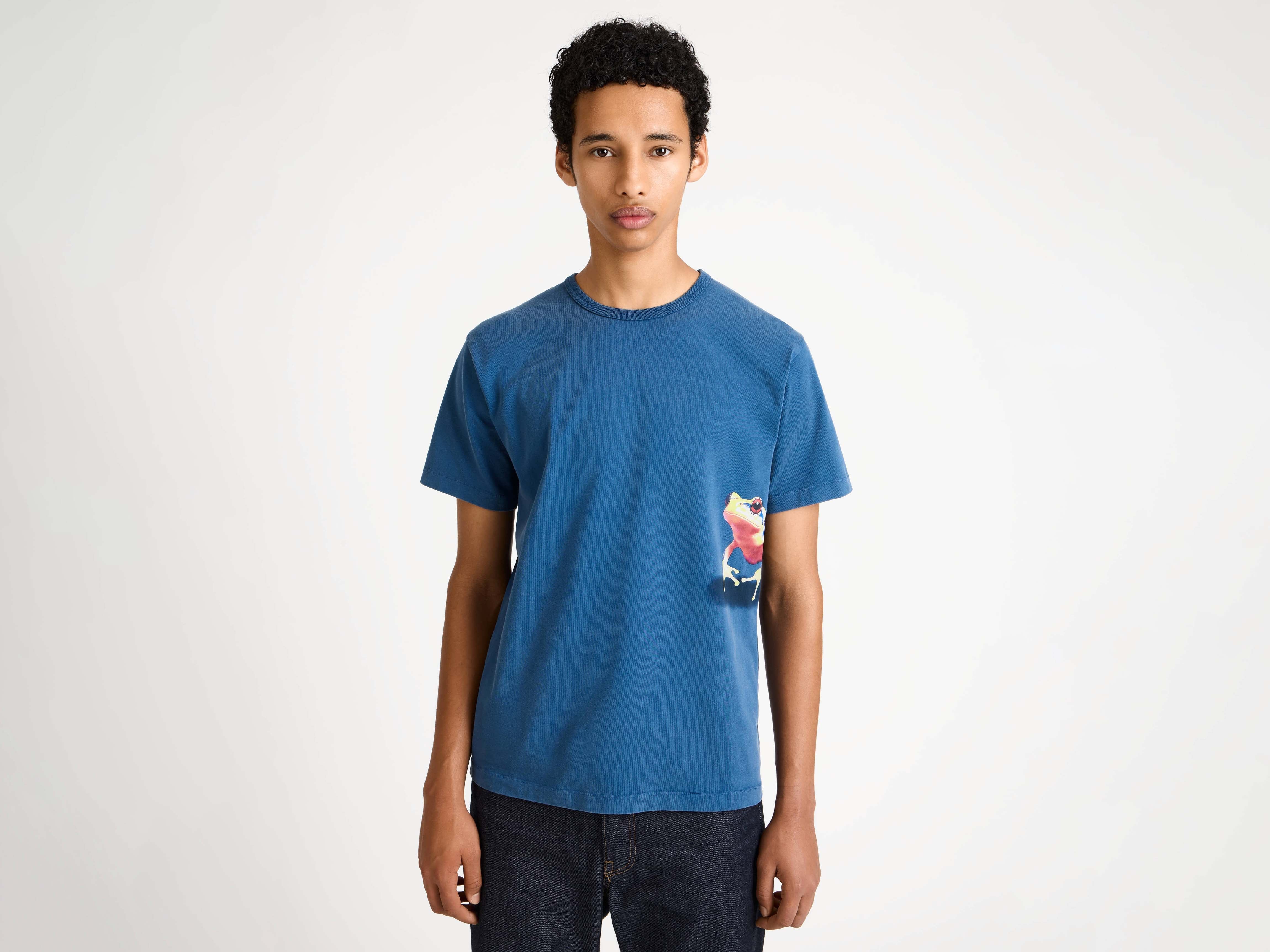 MENS PEEKING FROG TSHIRT IN MID BLUE - Image 4