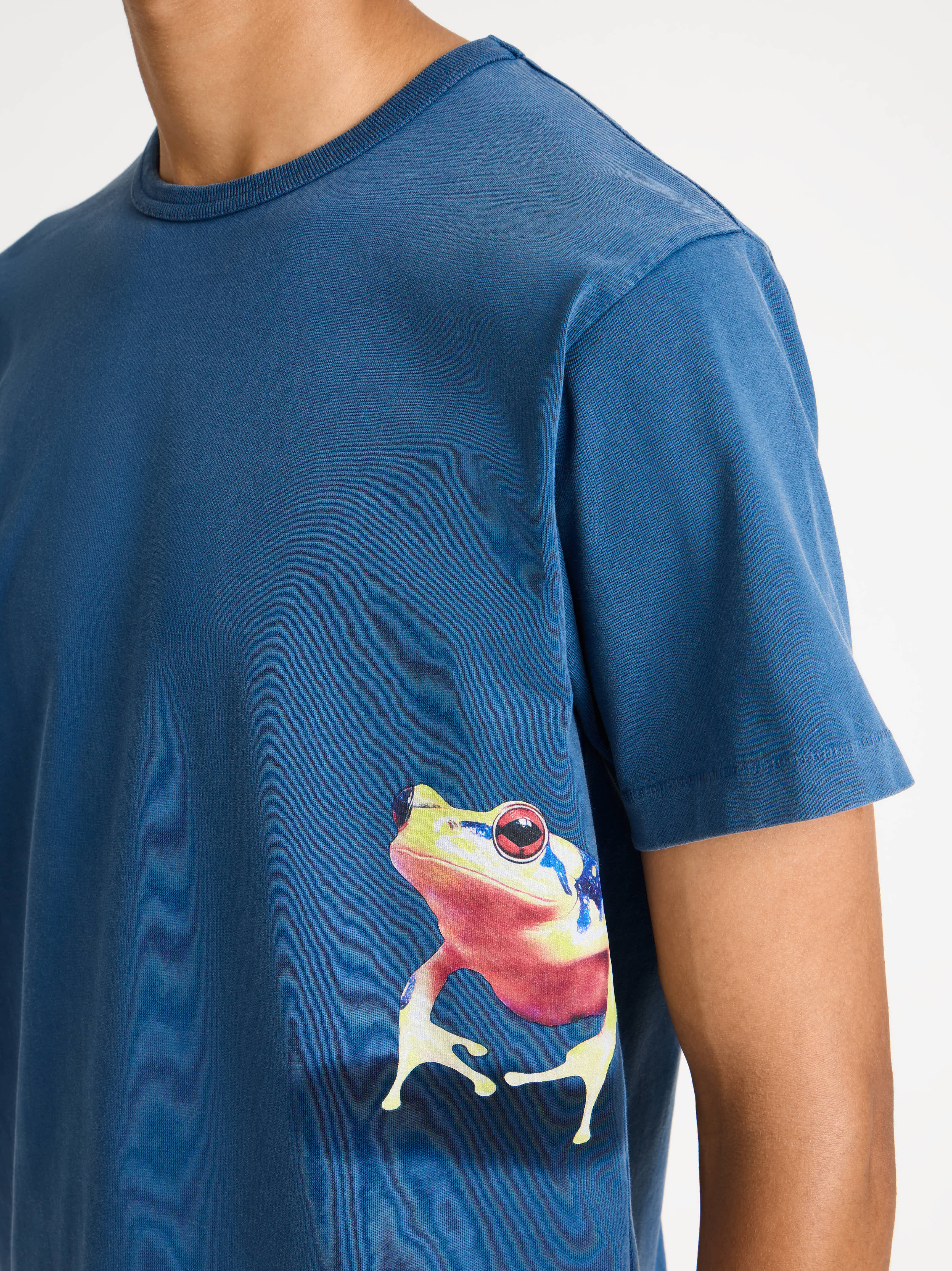 MENS PEEKING FROG TSHIRT IN MID BLUE - Image 5