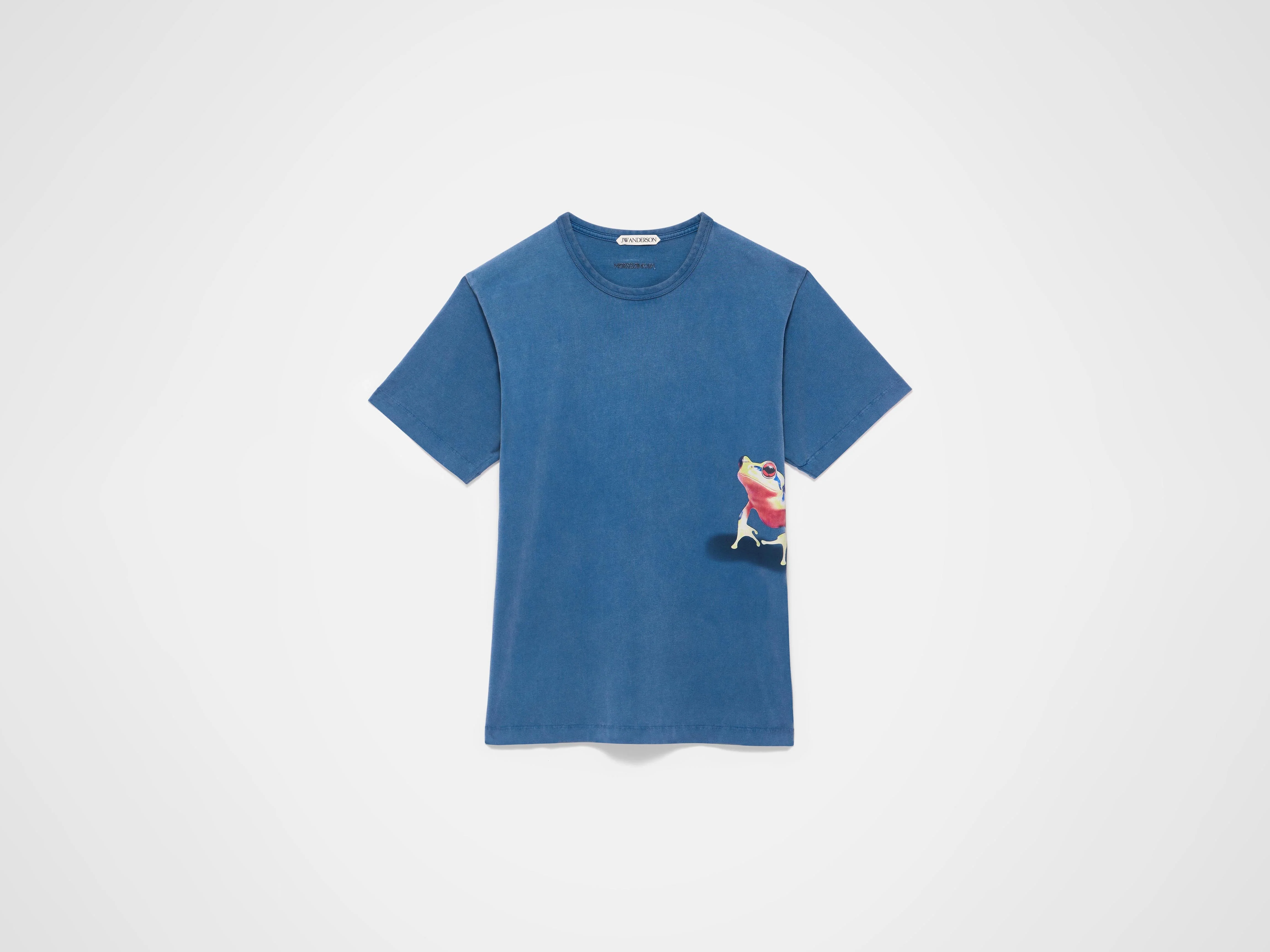 MENS PEEKING FROG TSHIRT IN MID BLUE - Image 6