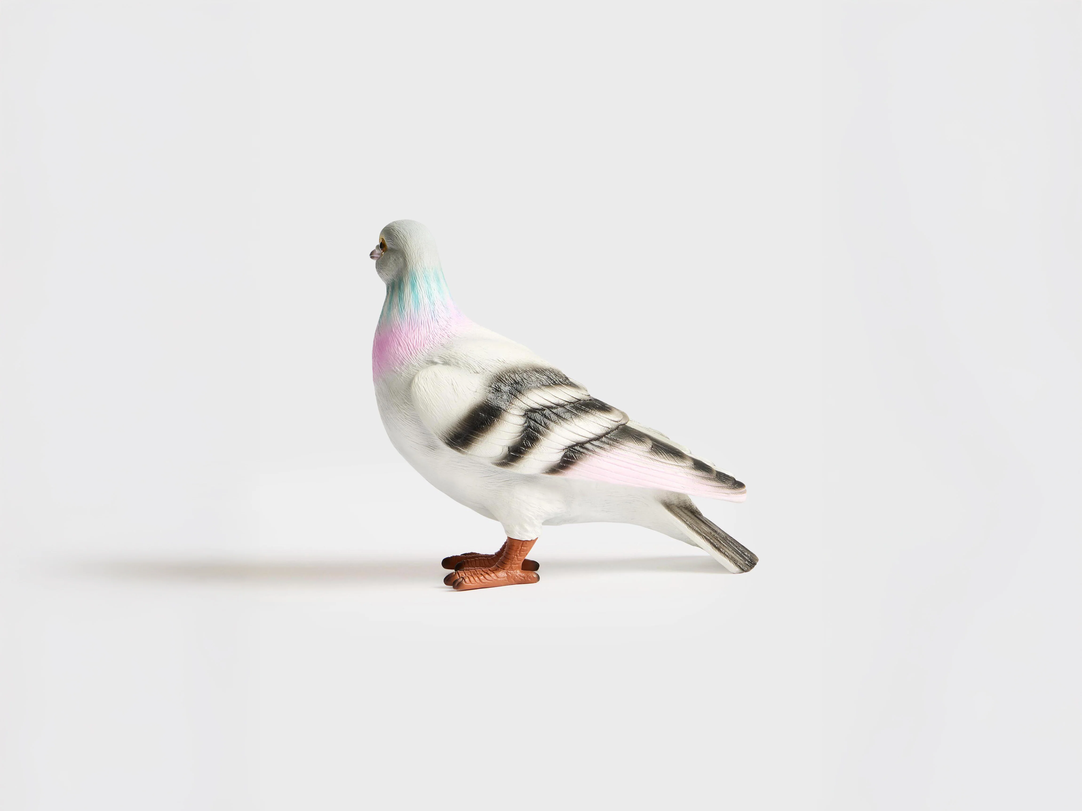 PIGEON CLUTCH IN GREY - Image 6